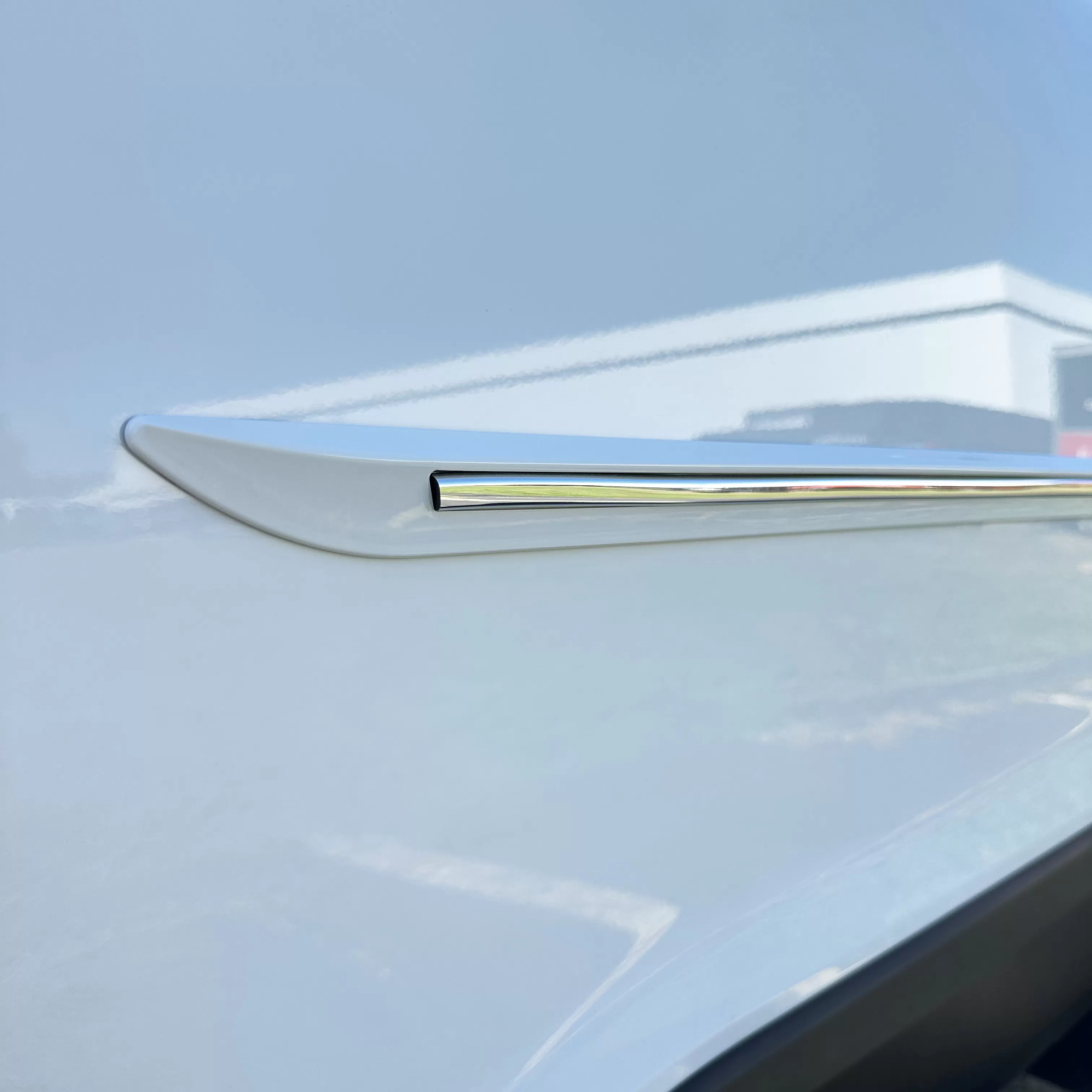 Painted Body Side Moldings with Chrome Inserts : Toyota